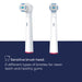 Beurer Toothbrush Heads for TB 30, TB 50, Oral-B, Rotating Brushes SENSITIVE x8